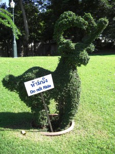 Can't see me wanting to ride this....but I can't account for every other tourist!