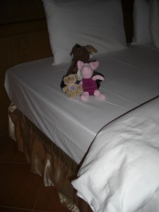 The animals haven't decided if they like the bed....