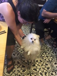 RenderedContent-09749858-6A4C-40FE-A8B7-682BA5B6912E