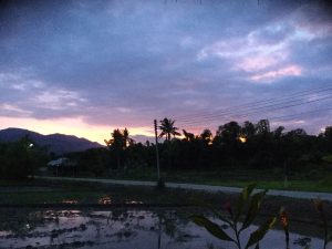 RenderedContent-13FFE6C5-E63D-46A1-A052-2240575AD793