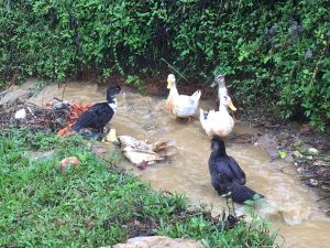 RenderedContent-16C84489-8BE8-4729-9295-92C2FD73B1EA