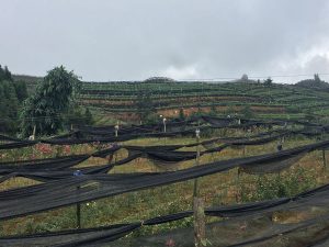 RenderedContent-22C95E70-478A-483E-92EF-9FA2A5DDDCCB