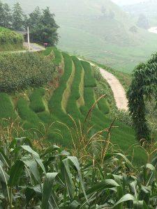 RenderedContent-CA31A637-CFE1-42A2-8530-A7F166D65067