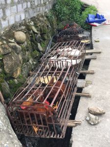 RenderedContent-D5CC518F-1C64-42E2-BB3A-AA71367C60E7