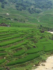 RenderedContent-D5DDFA11-C7C6-471F-9381-DB4A7BA37C65