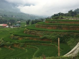 RenderedContent-D9D4AF54-6F53-4A1A-ACB9-65C685084AD1